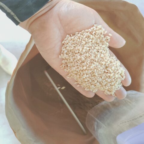 令和7年度新米は完売いたしました。